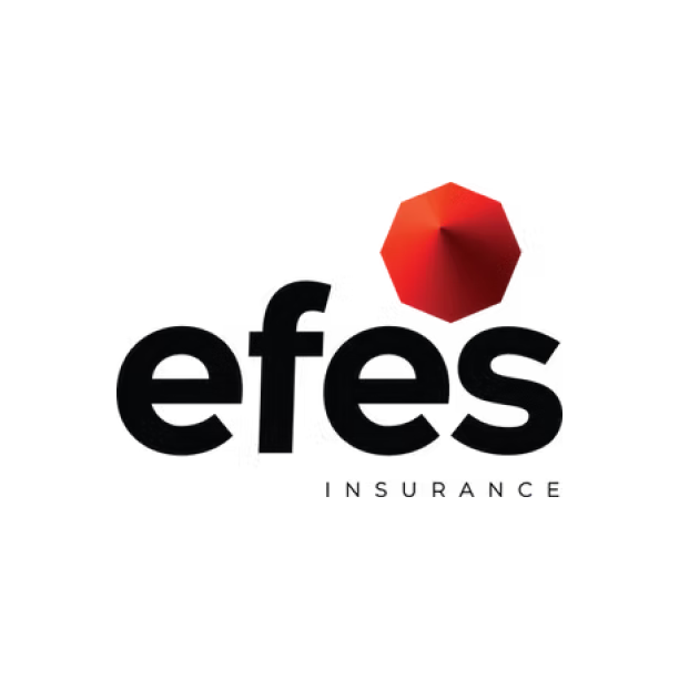 efes ապահովագրական ընկերություն